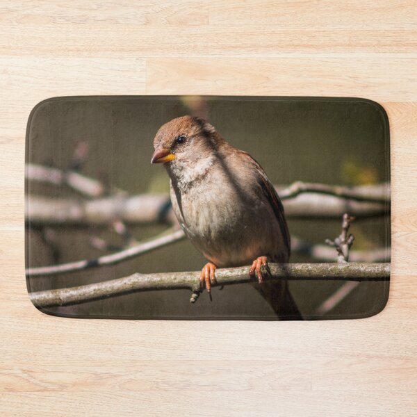 Item preview, Female house sparrow perched on a branch designed and sold by Michael Deemer.