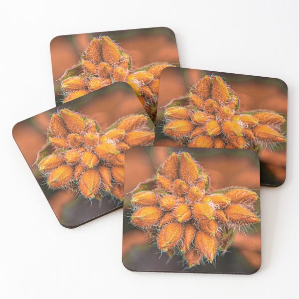 Item preview, Abstract buds designed and sold by CanadianWild418.