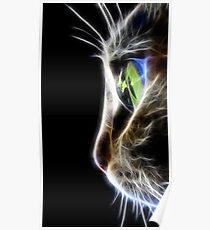 cat Poster