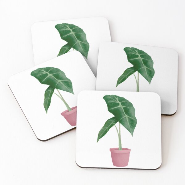 Item preview, Baby Alocasia Polly designed and sold by ColsonC.