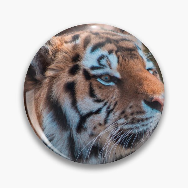Item preview, Siberian Tiger at the Zoo designed and sold by Michael Deemer.