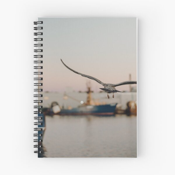 Item preview, Fairhaven Seagull Docks designed and sold by photodunnright.