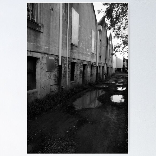 Item preview, Puddles, Dungog, NSW designed and sold by Ian Ramsay.