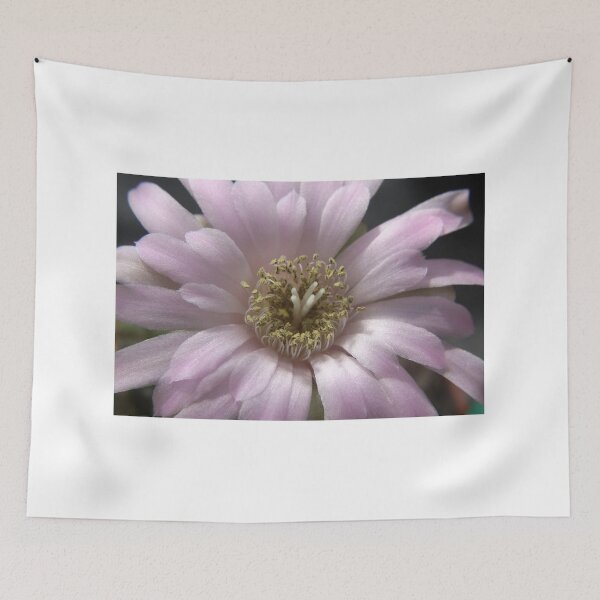 Item preview, Cactus flower designed and sold by AnthonyThomas.