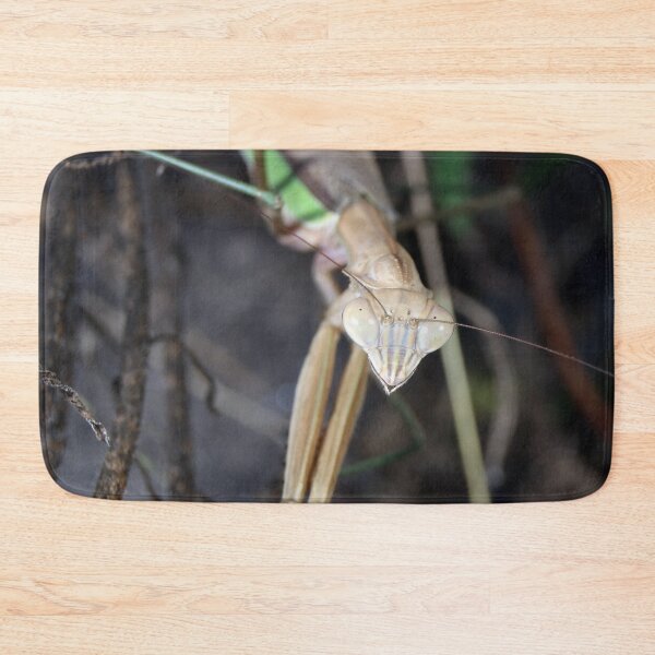 Item preview, Chinese Mantis BUG-FACE! designed and sold by mark-bugs-org.