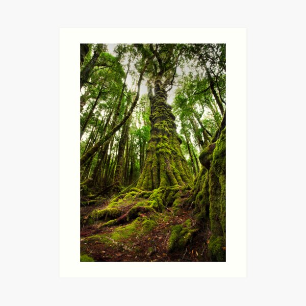 King Billy Giants Art Print