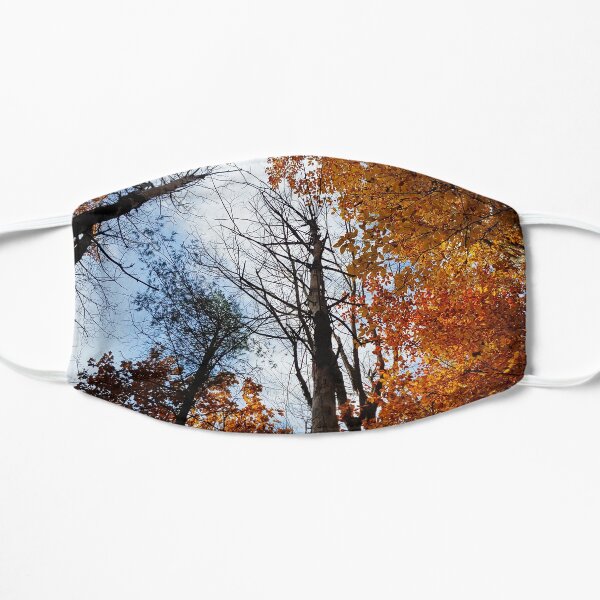Autumn Sky Flat Mask