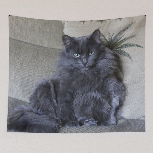 Item preview, Zoë On the Sofa designed and sold by heatherfriedman.