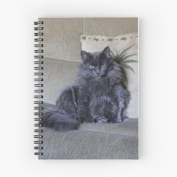 Item preview, Zoë On the Sofa designed and sold by heatherfriedman.