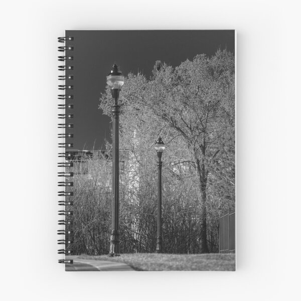 Item preview, Lamp Posts designed and sold by Randall Talbot.