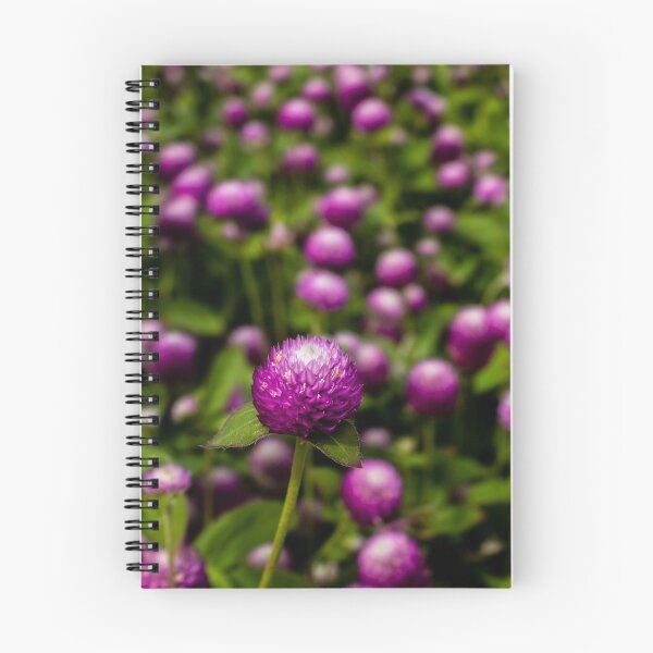 Item preview, Common Globe Amaranth designed and sold by Nathan Pipkorn.
