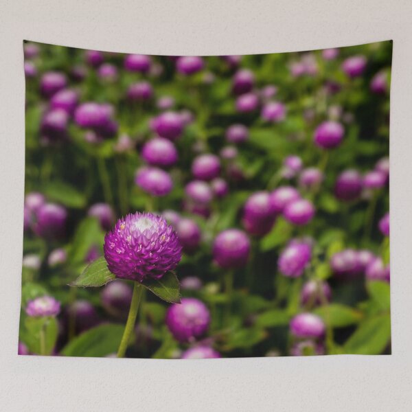 Item preview, Common Globe Amaranth designed and sold by Nathan Pipkorn.