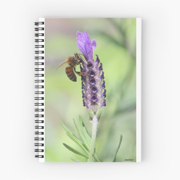 Item preview, springs buzzing designed and sold by ljdewet.