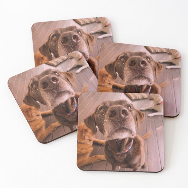 Item preview, Heather's Dog designed and sold by Jamest406.