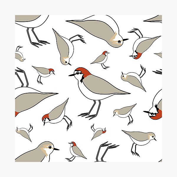 Red-caps Galore (white) Photographic Print