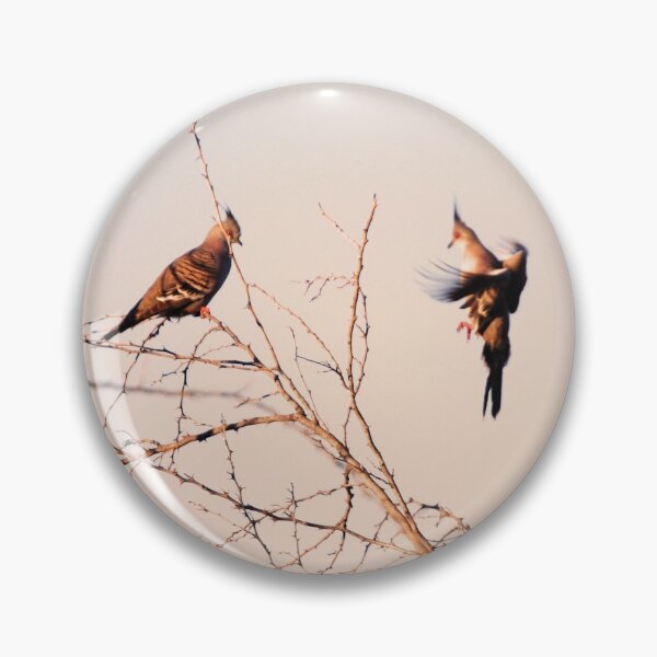 Item preview, Stunning Flying Birds at Sunset Photography designed and sold by Digitaldingo.