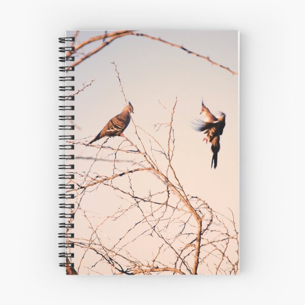Item preview, Stunning Flying Birds at Sunset Photography designed and sold by Digitaldingo.