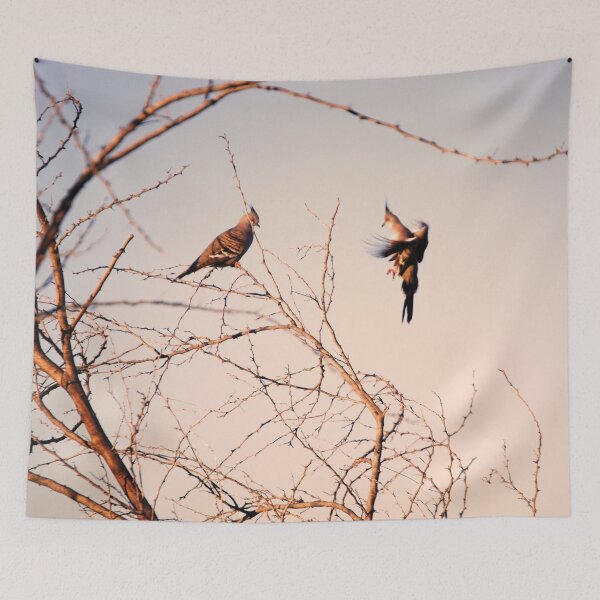 Item preview, Stunning Flying Birds at Sunset Photography designed and sold by Digitaldingo.