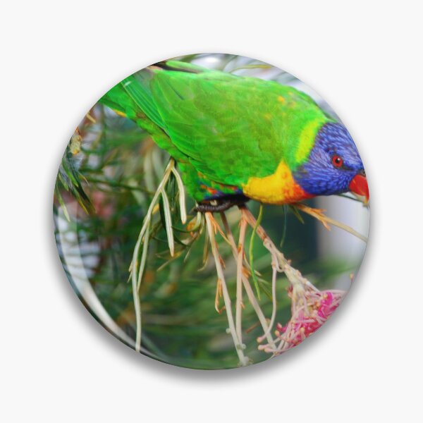 Item preview, Beautiful Rainbow Lorikeet Photography designed and sold by Digitaldingo.