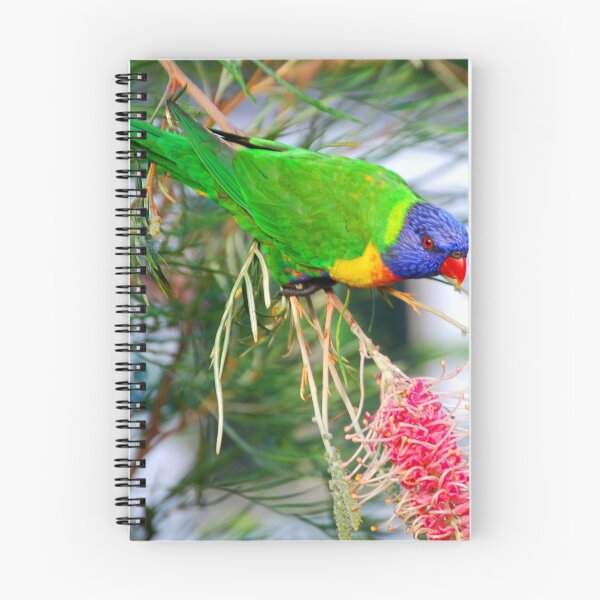 Item preview, Beautiful Rainbow Lorikeet Photography designed and sold by Digitaldingo.