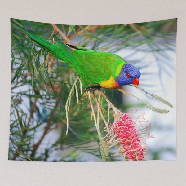 Item preview, Beautiful Rainbow Lorikeet Photography designed and sold by Digitaldingo.