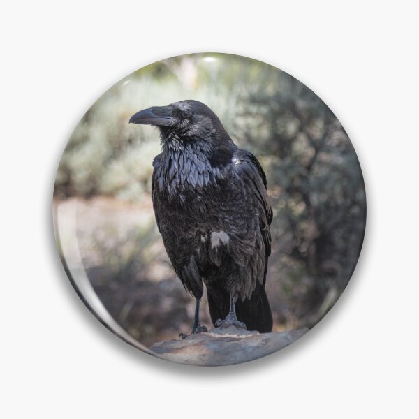 Item preview, The Raven designed and sold by YelloCoyote Photography.