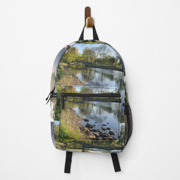 Item preview, Serene view of ducks swimming, Charles River, Boston designed and sold by navitaelwell.
