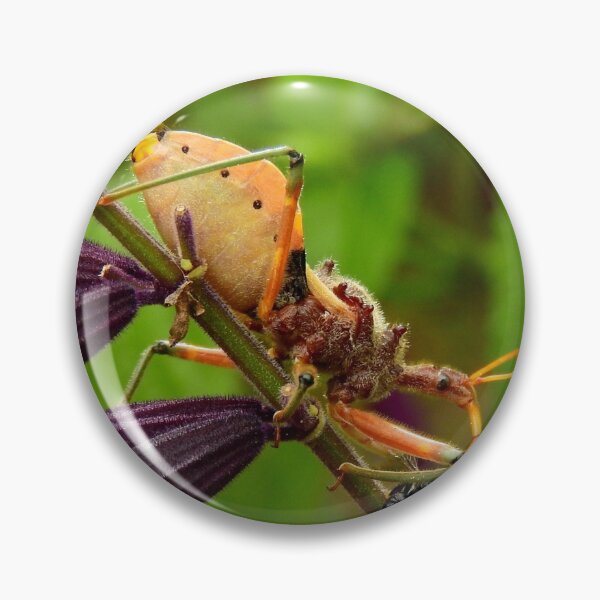 Item preview, Assassin Bug designed and sold by Ovahill.