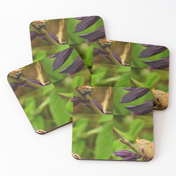 Item preview, Assassin Bug designed and sold by Ovahill.