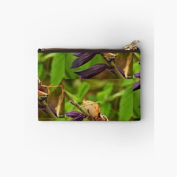 Item preview, Assassin Bug designed and sold by Ovahill.