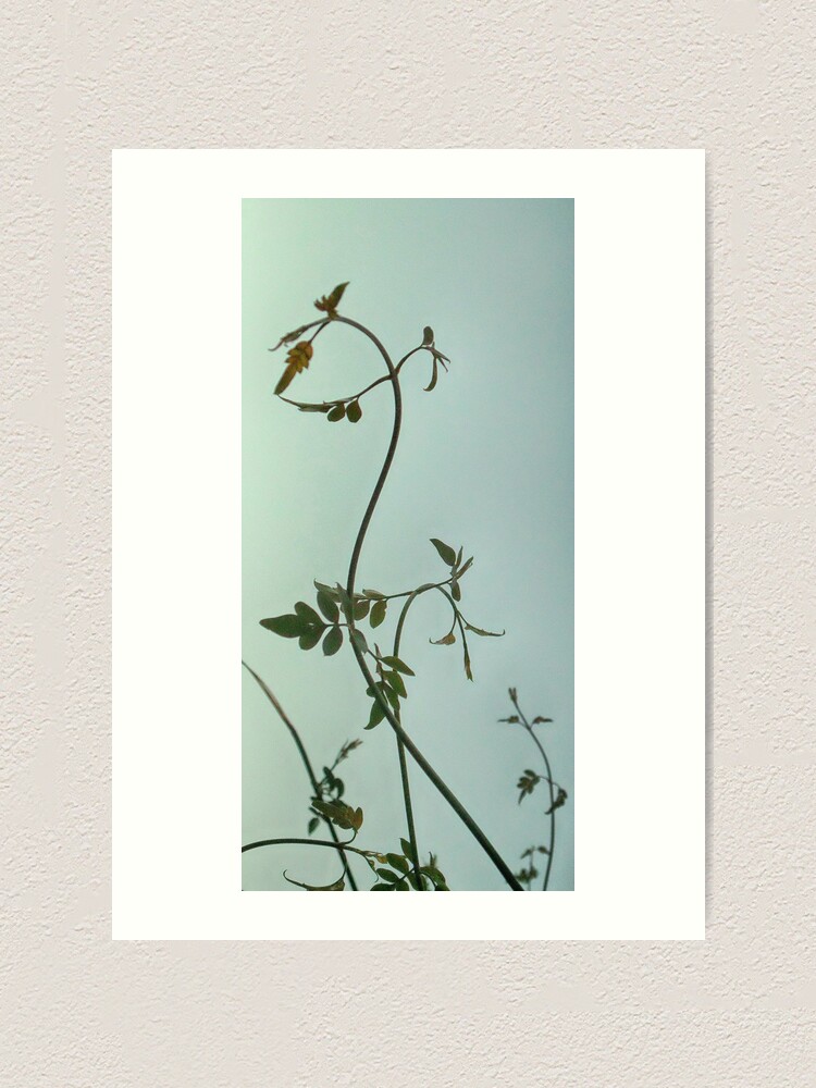 Alternate view of Gently left but pointed north I feel Space is actually that way Art Print