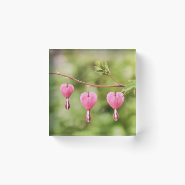 Artikelvorschau, Hearts Aligned  entworfen und verkauft von Karen Peron.