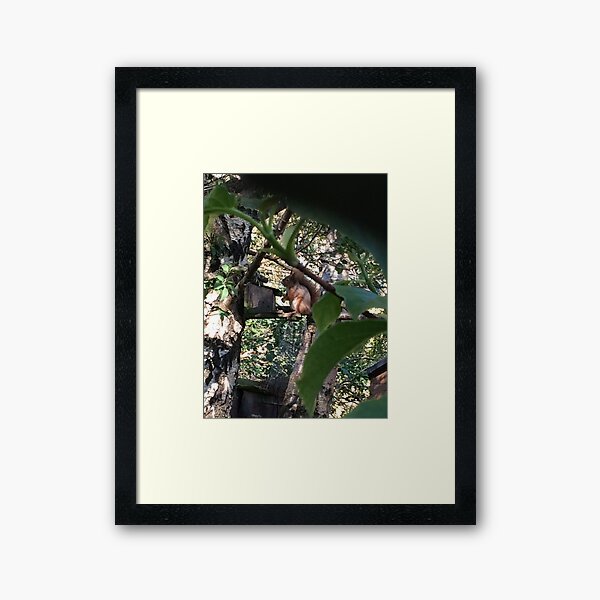 Red Framed Art Print