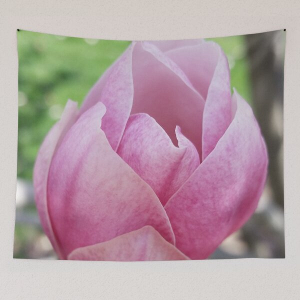 Item preview, Magnolia Bud (Photograph: Unfiltered) designed and sold by Lori Ackley.