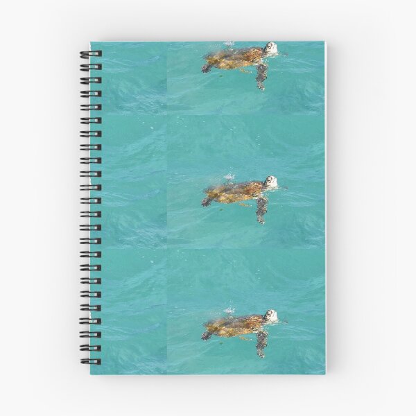 Item preview, Trina turtle designed and sold by Ovahill.