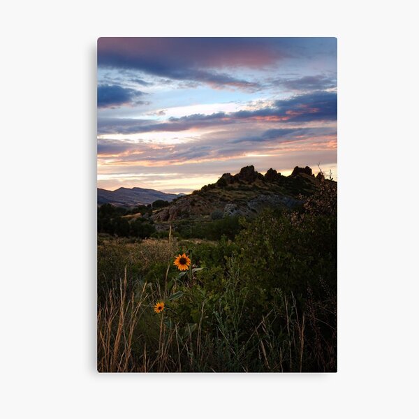 Item preview, Devil's Backbone Loveland Colorado designed and sold by johnny gomez.
