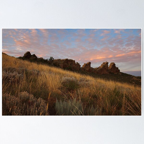 Item preview, Devils Backbone #21 Loveland Colorado designed and sold by johnny gomez.