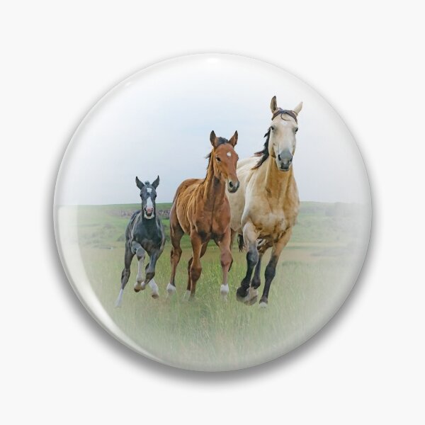 Artikelvorschau, Familie entworfen und verkauft von horseymj1.
