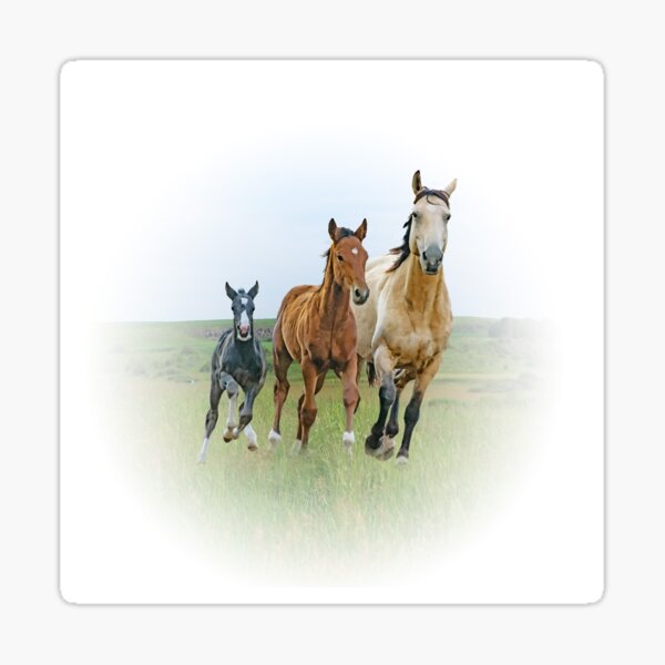 Family Sticker