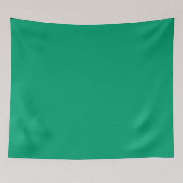 Item preview, PLAIN SOLID MINT-GREEN  - NEW YORK FASHION WEEK SPRING/ SUMMER 2021  designed and sold by ozcushions.