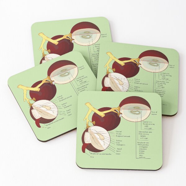 Item preview, Diagram of grape designed and sold by 4Seasons.