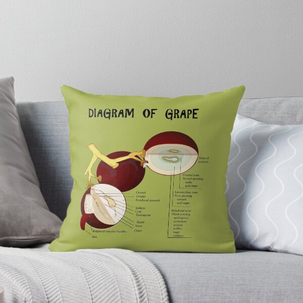Item preview, Diagrama de uva designed and sold by 4Seasons.