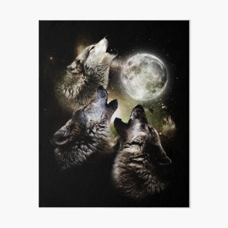 three wolf moon wallpaper
