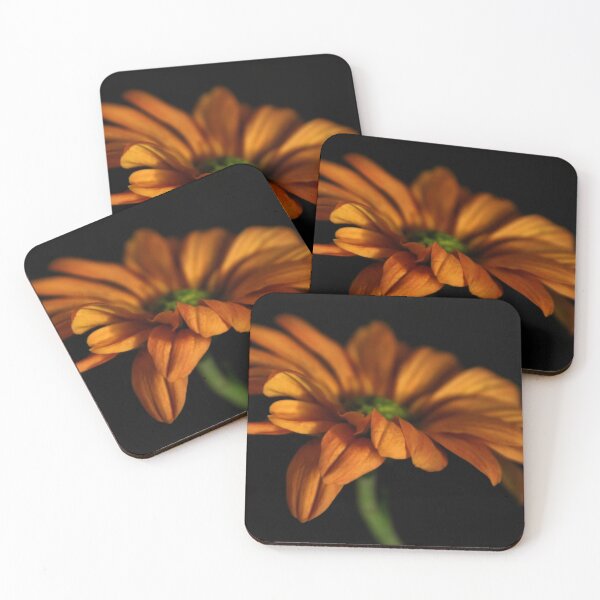 Item preview, Orange Gerbera Daisy designed and sold by Nickie.