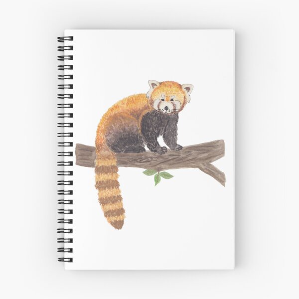 Aperçu de l'œuvre Panda rouge créée et vendue par CreateWandrlust.