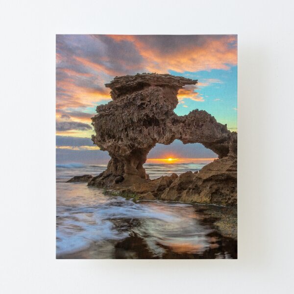Window of Opportunity Canvas Mounted Print