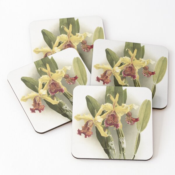 Item preview, Reichenbachia: Orchids Illustrated and Described designed and sold by EsotericBotanic.