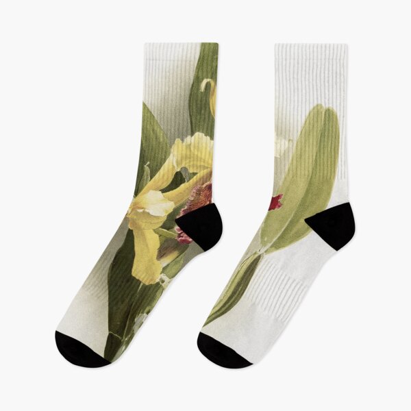 Item preview, Reichenbachia: Orchids Illustrated and Described designed and sold by EsotericBotanic.