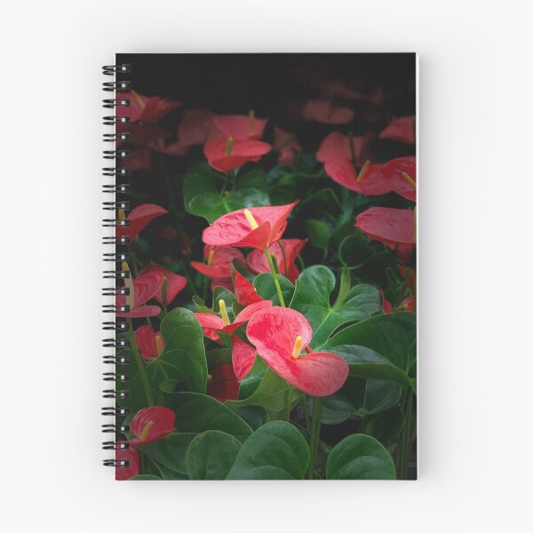 Item preview, Anthuriums designed and sold by Sally Wall.