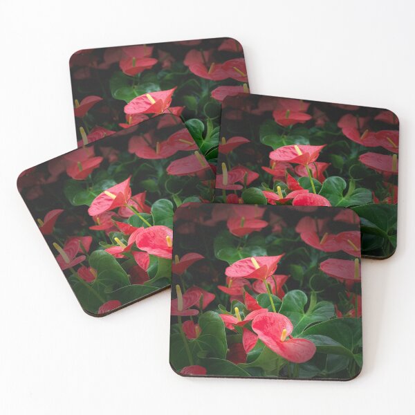 Item preview, Anthuriums designed and sold by Sally Wall.
